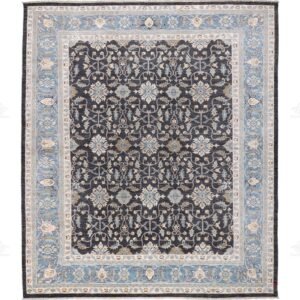 Pakistan Farahan 6772