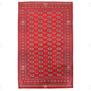 Pakistan | 5'4"×8'5"